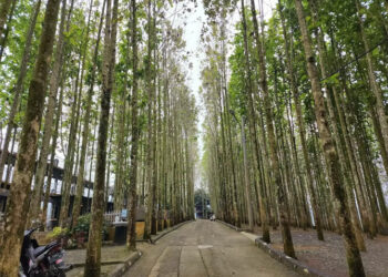 Wisata Jati Ombo Parung Panjang Bogor