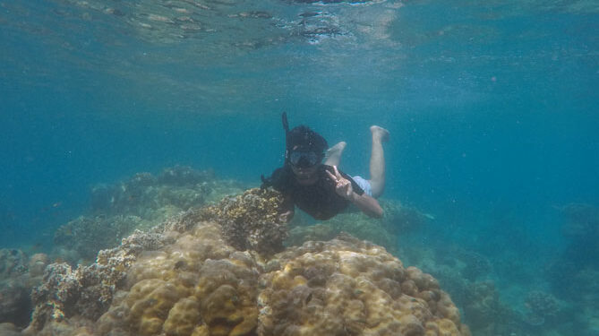 spot snorkling pulau harapan