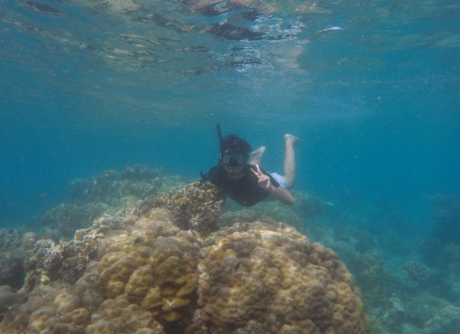 Spot Snorkling Pulau Harapan Kepulauan Seribu