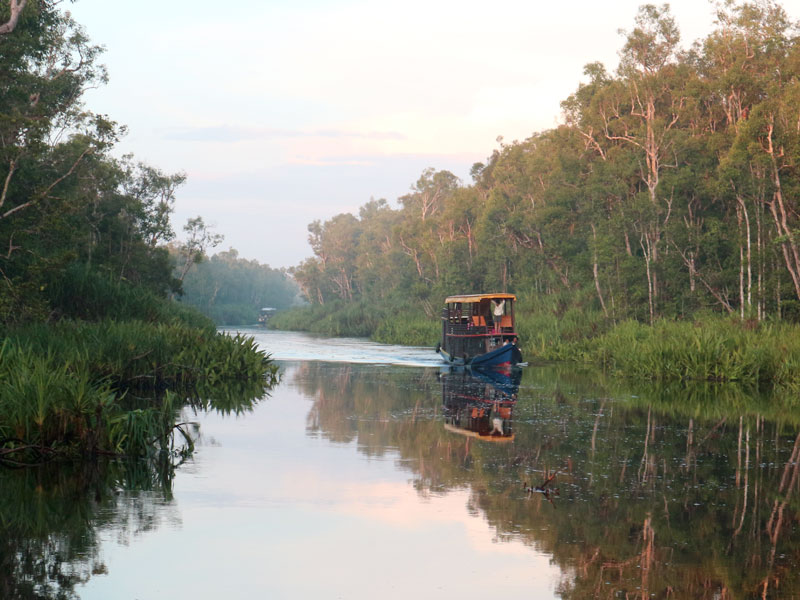 Open trip taman nasional tanjung puting