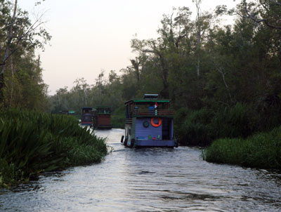 Taman Nasional Tanjung Puting